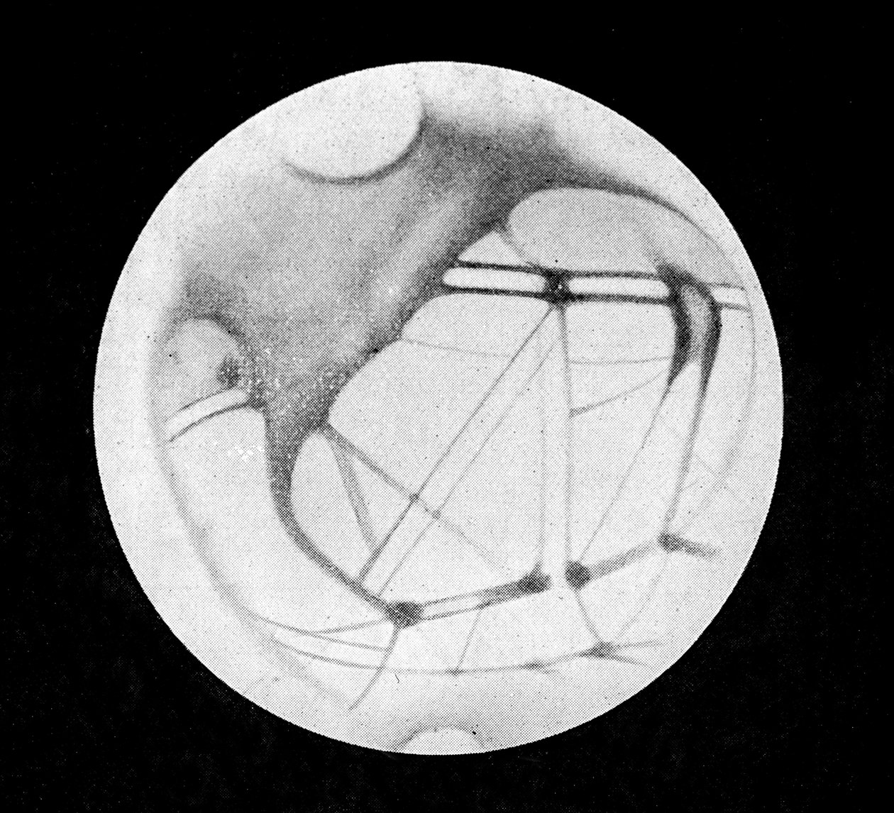 De doble kanalene til Mars (Mars-kanaler eller canali-kanaler), etter Giovanni Virginio Schiaparelli (1835-1910), italiensk astronom (1890) - i "" The Sky"", av Alphonse Berget, Larousse av Giovanni (after) Schiaparelli