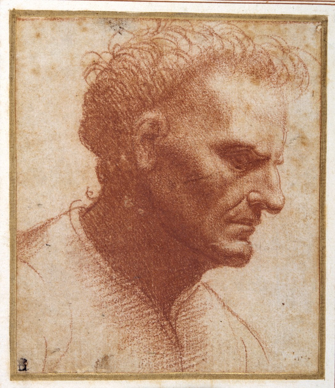 Hodet til en skjeggløs mann som ser nedover (rødt kritt på papir) av Giovanni Agostino da Lodi