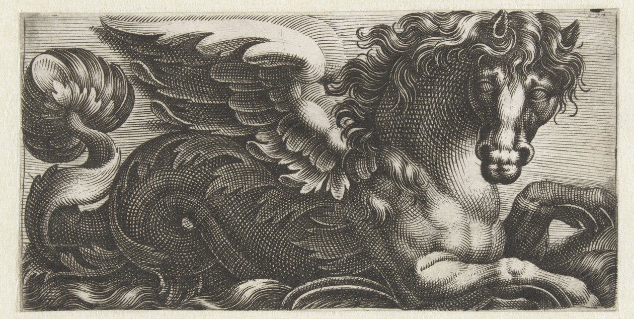 Bevinget sjøhest med en bladknopp på halen Frisere med sjømonstre (serietittel) av Giovanni Andrea Maglioli