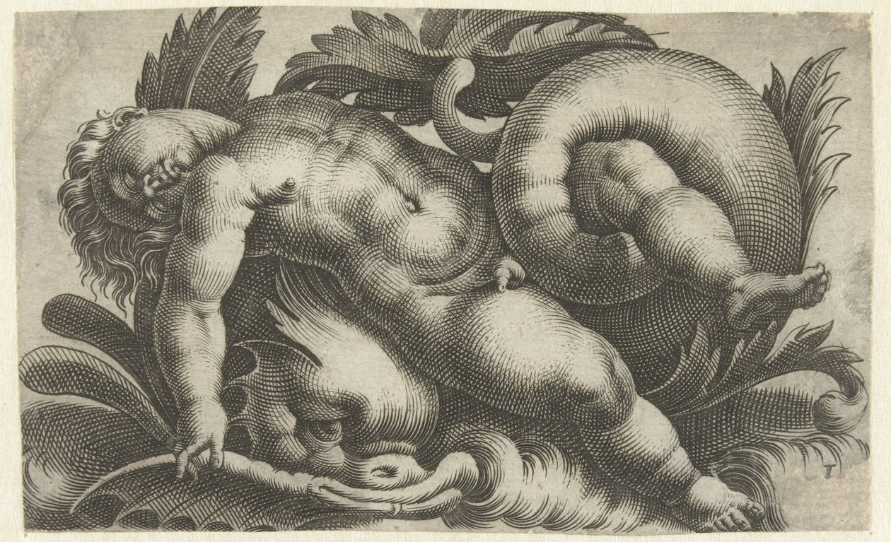 Sovende putto på delfin Putti om sjødyr (serietittel) av Giovanni Andrea Maglioli