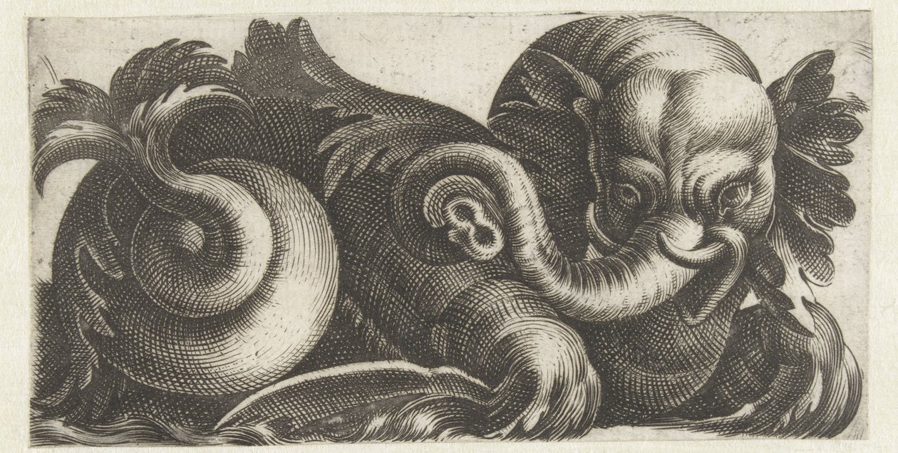 Sjøelefant med bladører Frisere med sjømonstre (serietittel) av Giovanni Andrea Maglioli