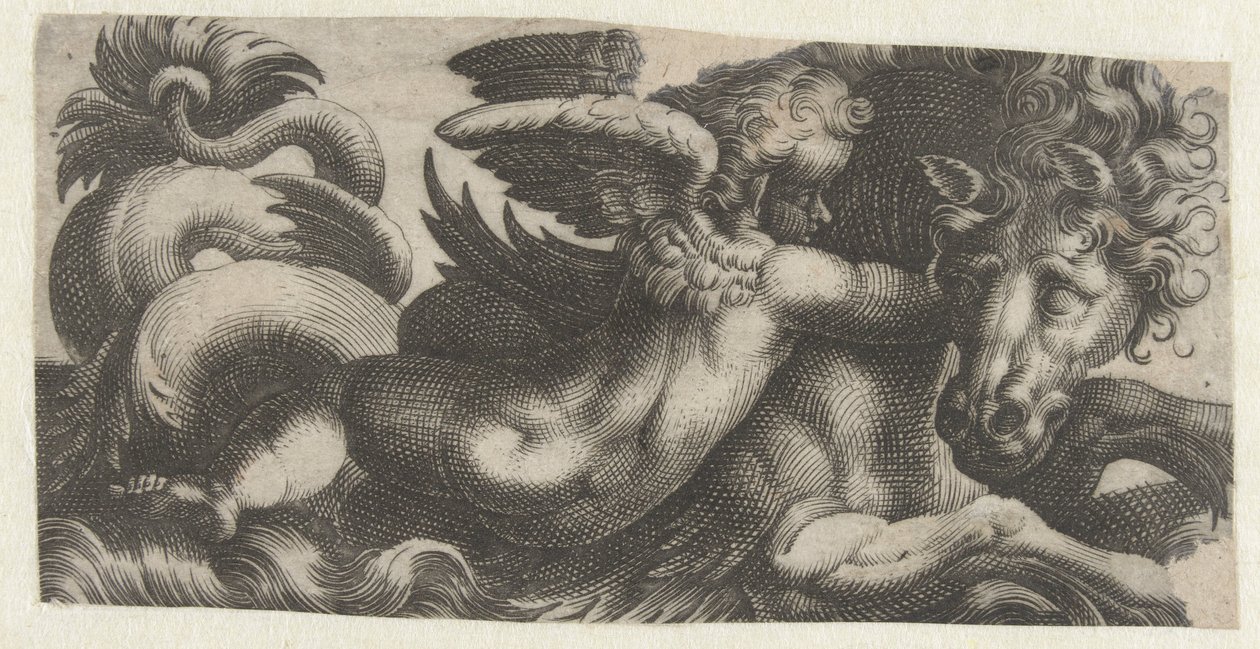 Sjøhest med putto rundt halsen Frisere med sjømonstre (serietittel) av Giovanni Andrea Maglioli