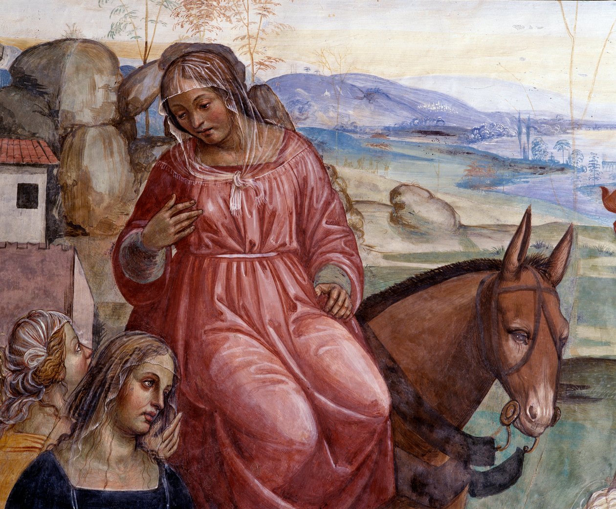 Benedikt forlot sin fars hus og dro til Roma for å studere Detalj av tjeneren til Benoit, Cyrilla - Fresco of the cloitre realisert av Antonio Bazzi dit il Sodoma (1477-1549) som forteller om livet til Saint Benedict of Nursia (480 - 567) grunnlegger av or av Giovanni Antonio Bazzi Sodoma