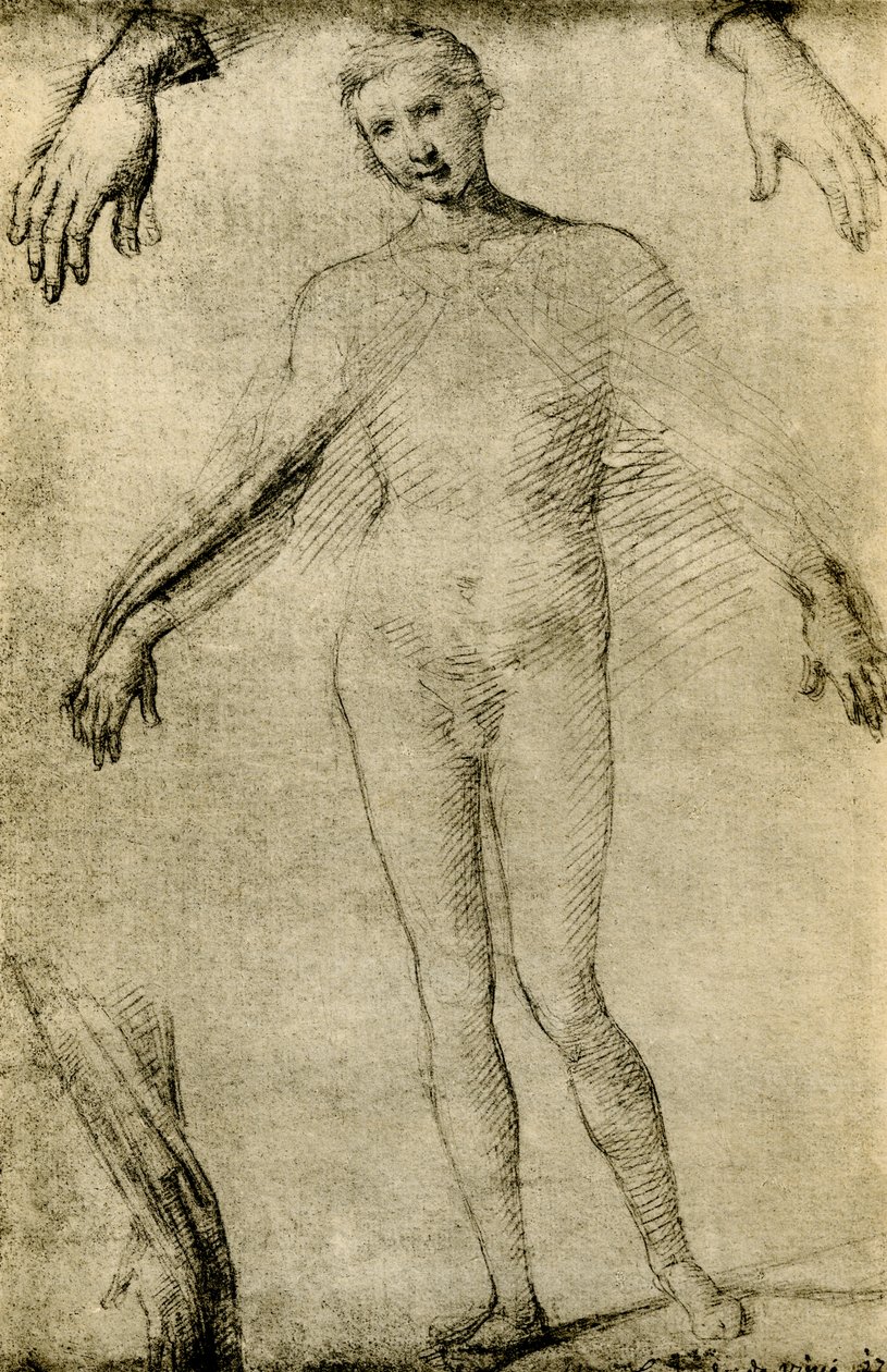 Modellstudie for en jomfru Maria som mater misericordiae av Giovanni Antonio Bazzi Sodoma