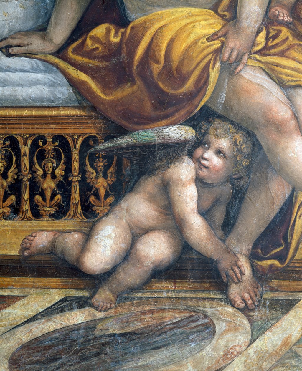 Sala delle Nozze di Alessandro e Rossana Hall av ekteskapet til Alexander den store 356-323 f.Kr. og Roxanne detalj av en putto som skjuler seg ved Roxannes føtter, ca. av Giovanni Antonio Bazzi Sodoma
