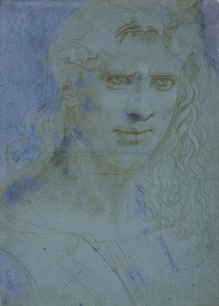 Byste av unger kronet med torner og vinranker, ca. 1495 (metallspiss på blått forberedt papir) av Giovanni Antonio Boltraffio