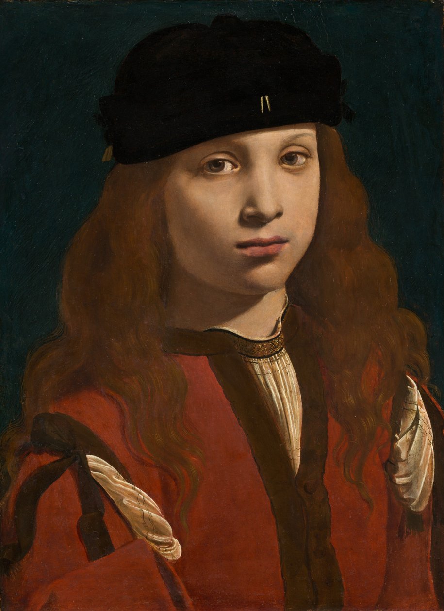 Portrett av en ungdom, ca. 14951498. av Giovanni Antonio Boltraffio