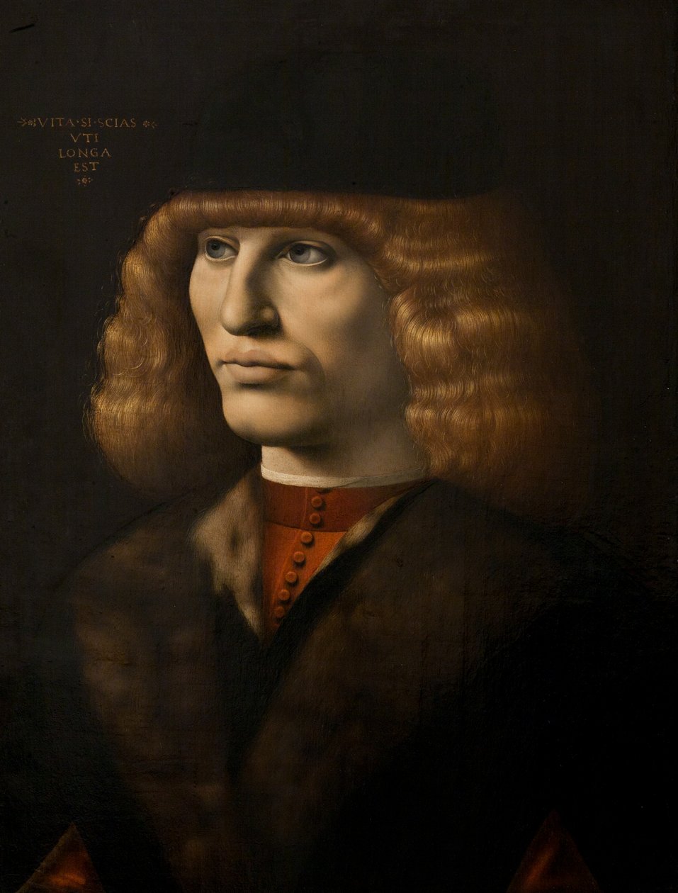 Portrett av en ung mann, ca. 1500 (olje på panel) av Giovanni Antonio Boltraffio