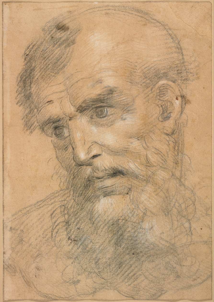  av Giovanni Antonio Sogliani