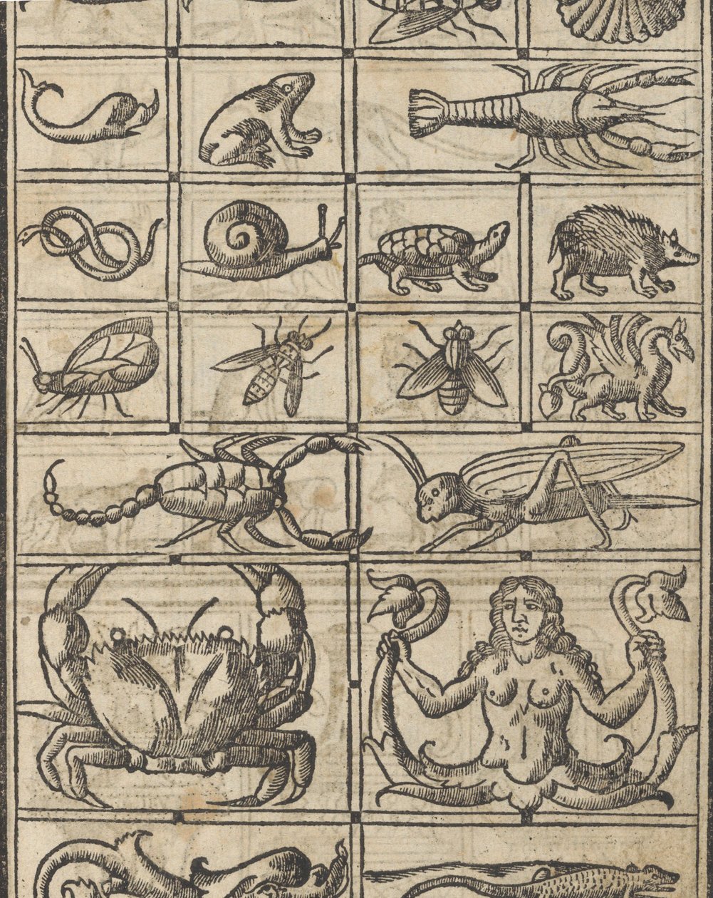 Eksempel på recammi, side 11 recto, 1530. av Giovanni Antonio Tagliente