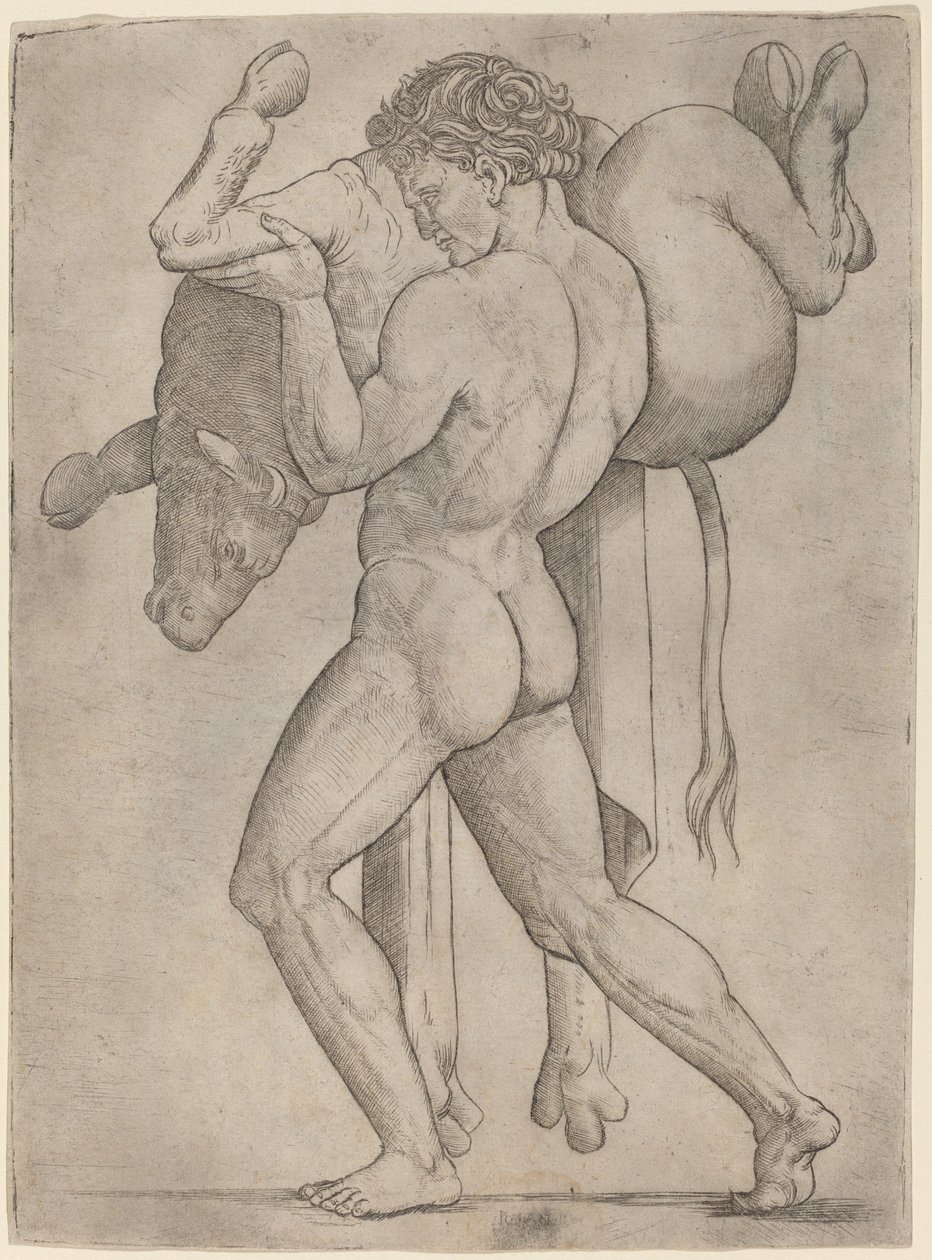 Hercules og den kretiske oksen av Giovanni Antonio da Brescia