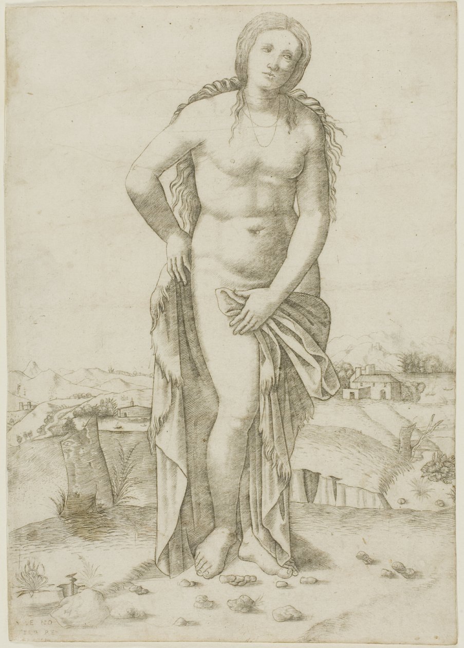 Venus av Giovanni Antonio da Brescia