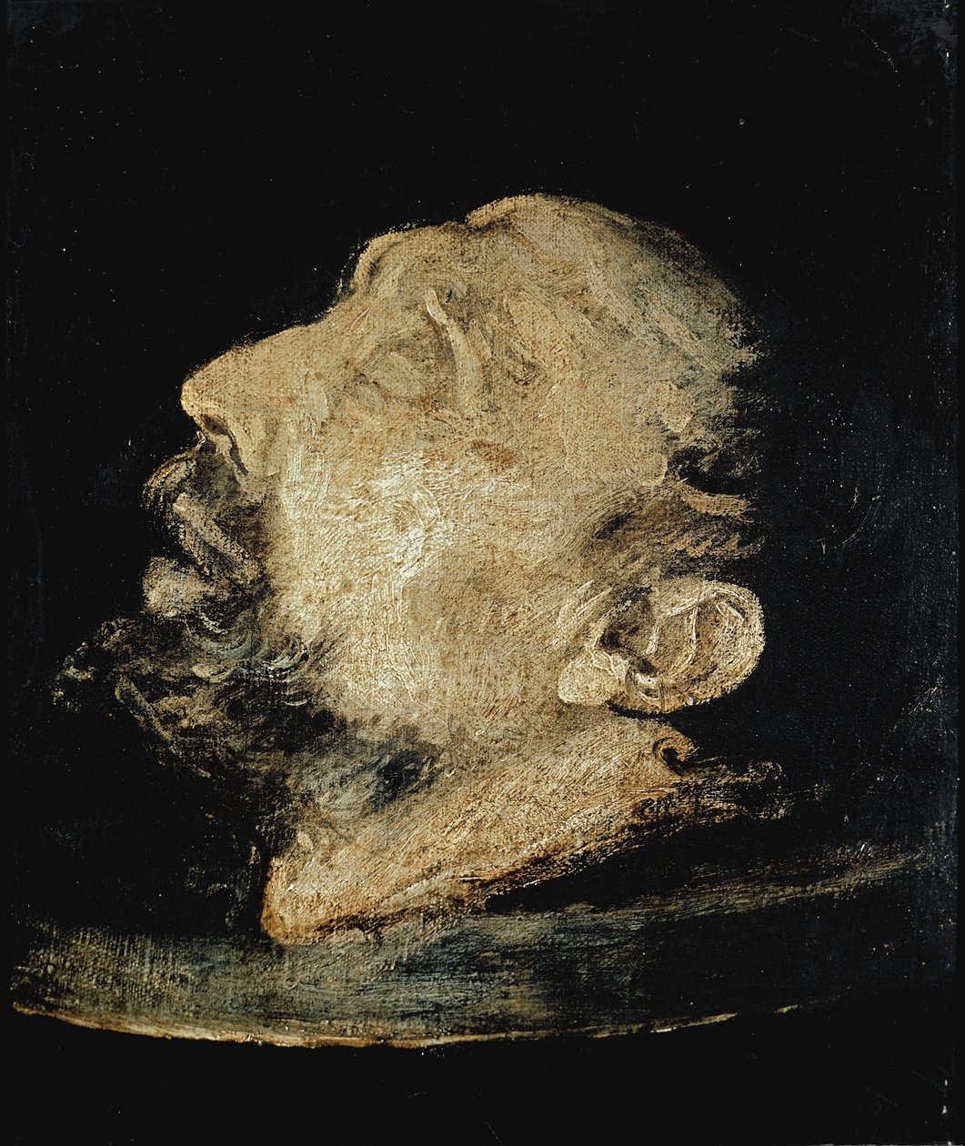 Hodet til døperen Johannes på et platå av Giovanni Battista  Crespi