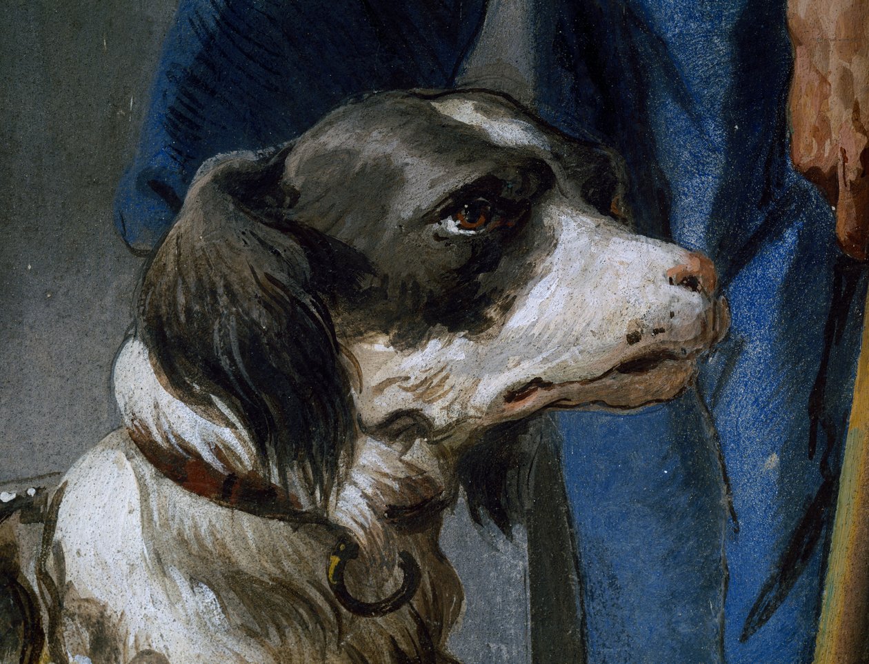 Dog Argo, detalj fra freskomaleri av Giovanni Battista Tiepolo (1696-1770) av Giovanni Battista Tiepolo