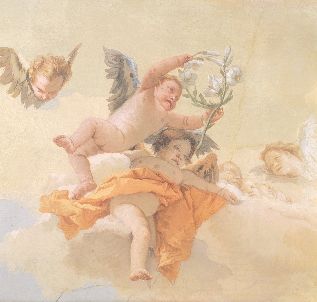 Glory of Angels, av Giovanni Battista Tiepolo (1696-1770), fresco, Detail, Oratory of Purity, Udine av Giovanni Battista Tiepolo