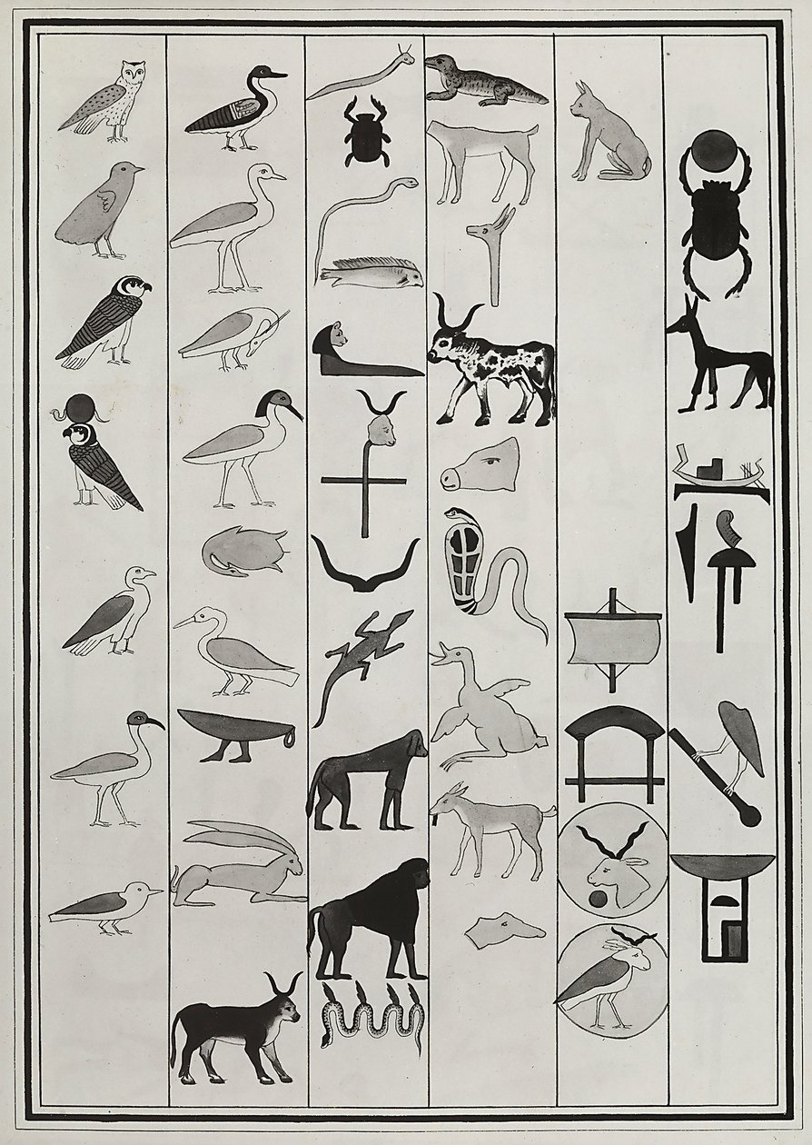 Tegninger av dekorasjonene fra innsiden av graven til farao Psammetic I, gjengitt i 1817 av Giovanni Battista Belzoni, plassert i British Museum, London av Giovanni Battista Belzoni
