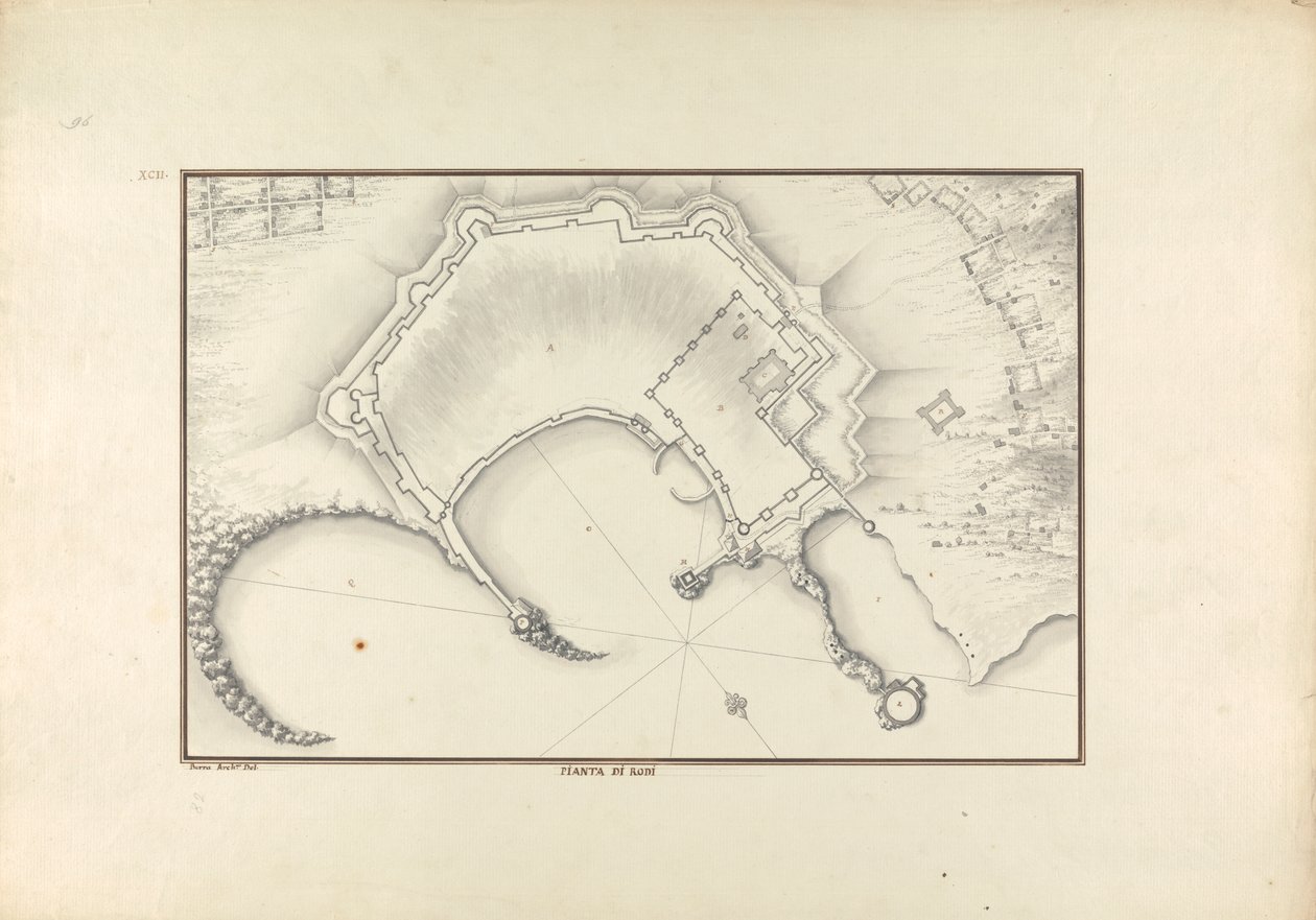 Rhodos plante av Giovanni Battista Borra