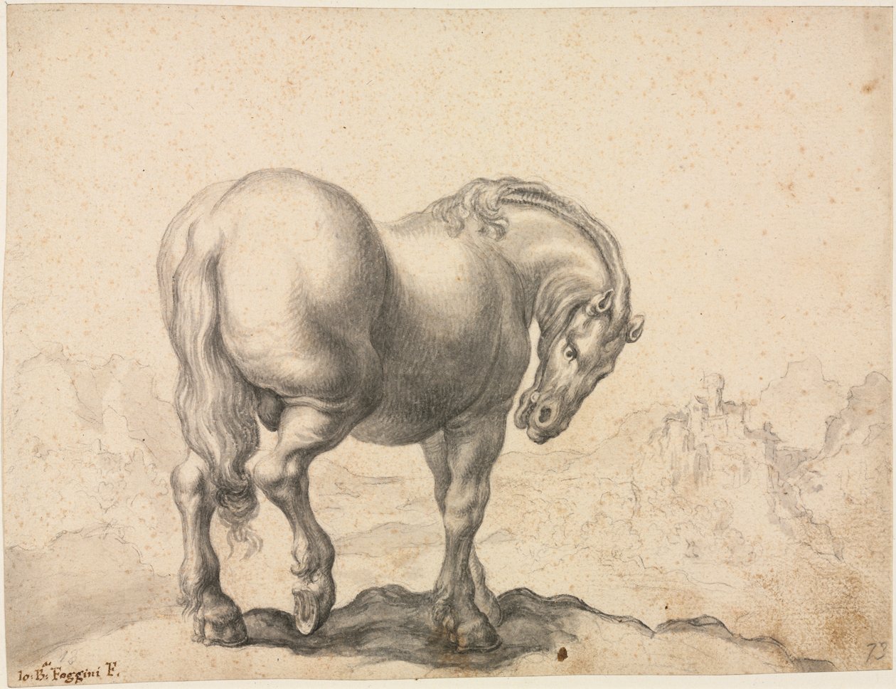 Studie av en hingst av Giovanni Battista Foggini