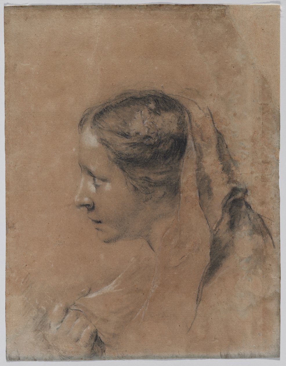 Leder for en kvinne i profil med et skjerf av Giovanni Battista Piazzetta