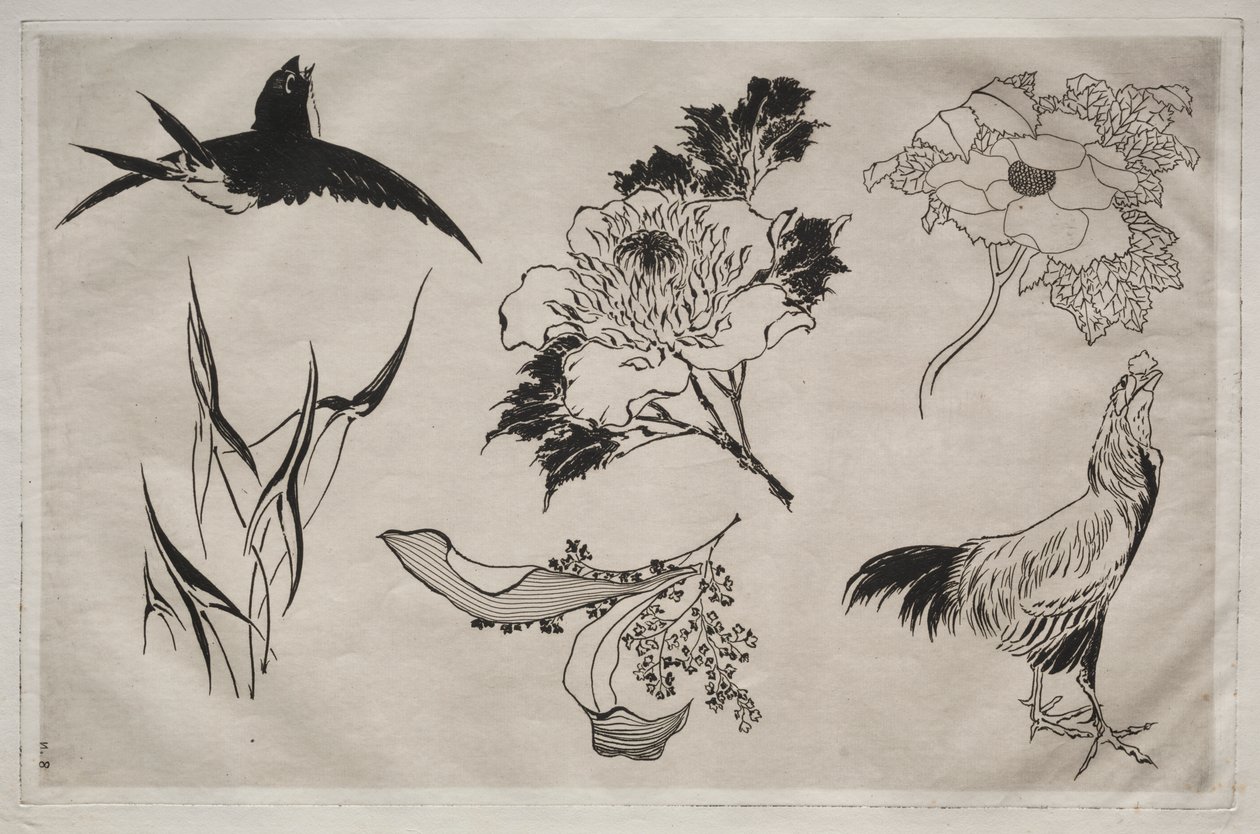 Middagsservering (Rousseau-servering): Svale, hane og blomster (nr. 8) av Giovanni Battista Piranesi