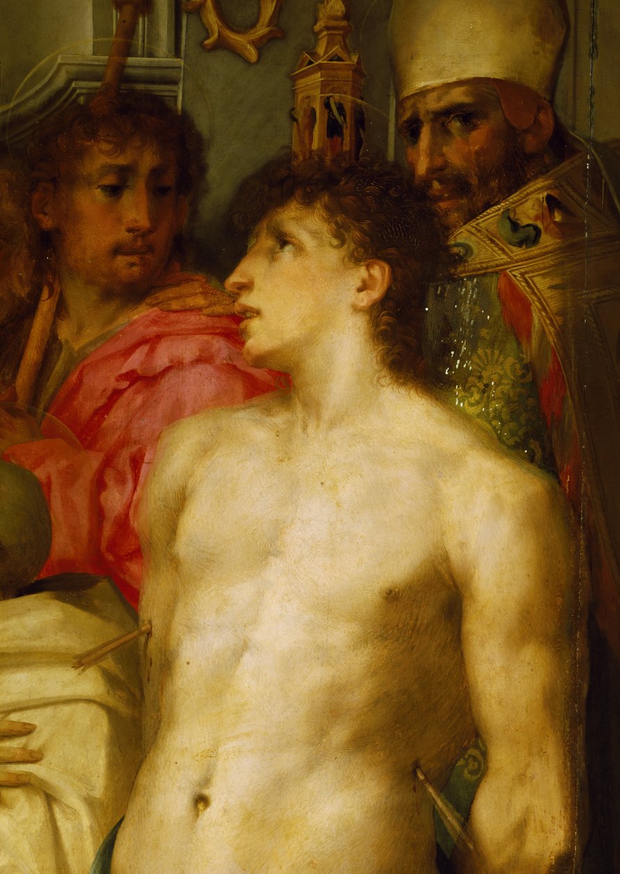  av Giovanni Battista Rosso Fiorentino