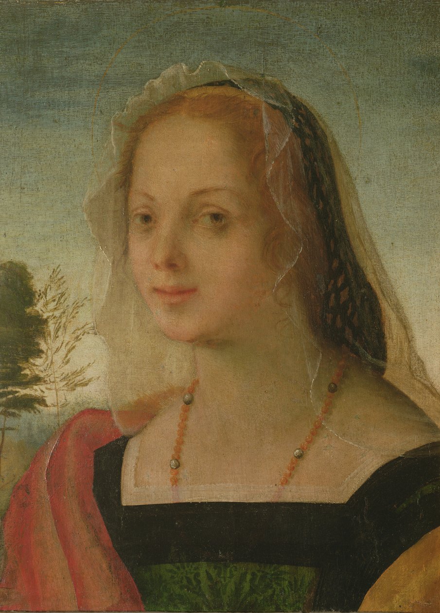 Portrett av en ung jente (tempera på panel) av Giovanni Battista Rosso Fiorentino