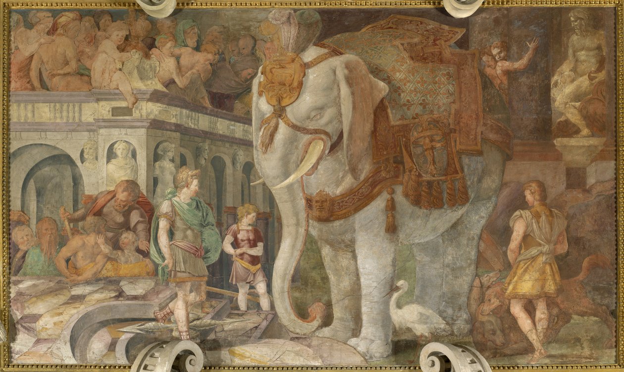 Den kongelige elefanten av Giovanni Battista Rosso Fiorentino