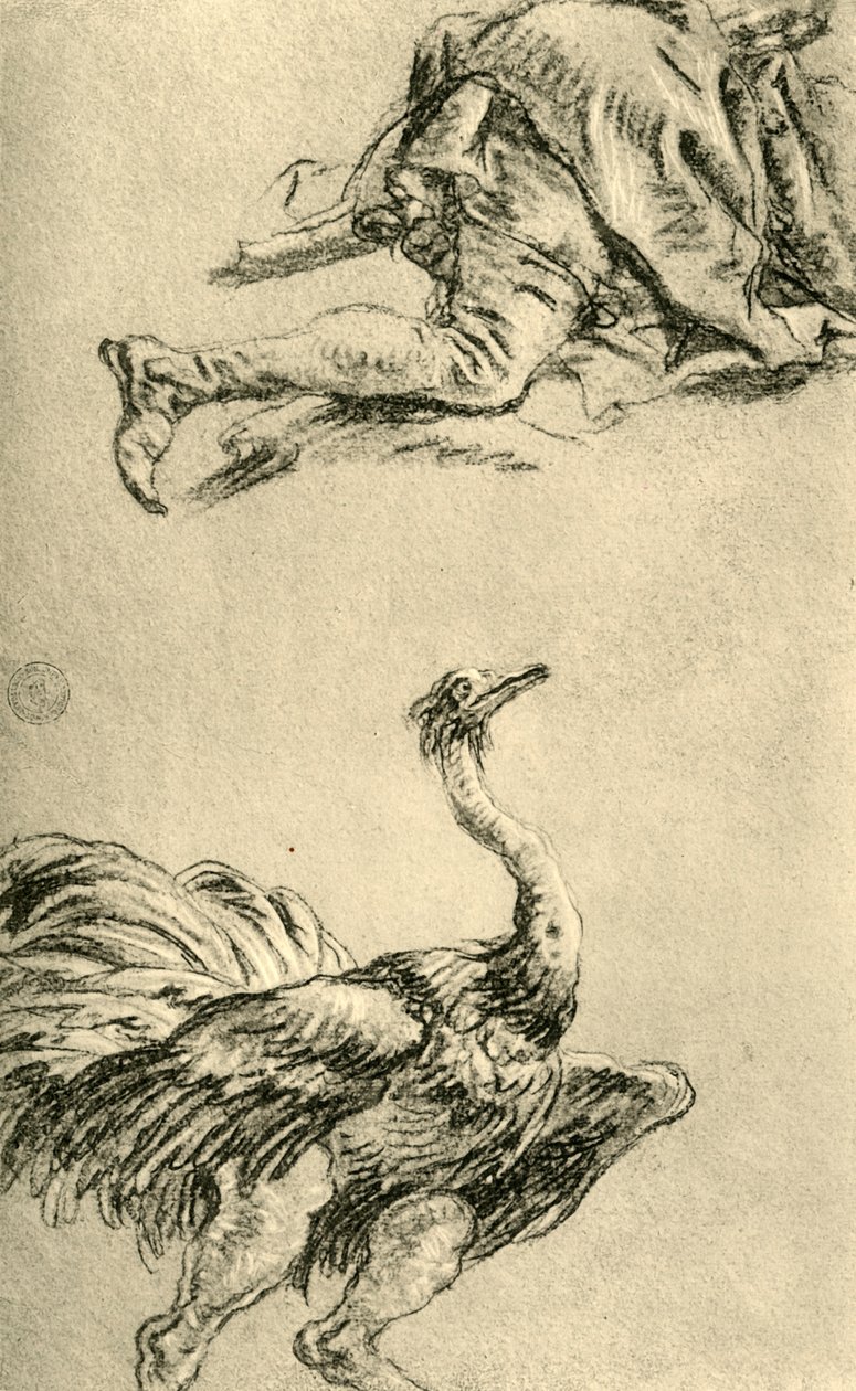 En løpende struts, 1752-1753, 1928 av Giovanni Battista Tiepolo