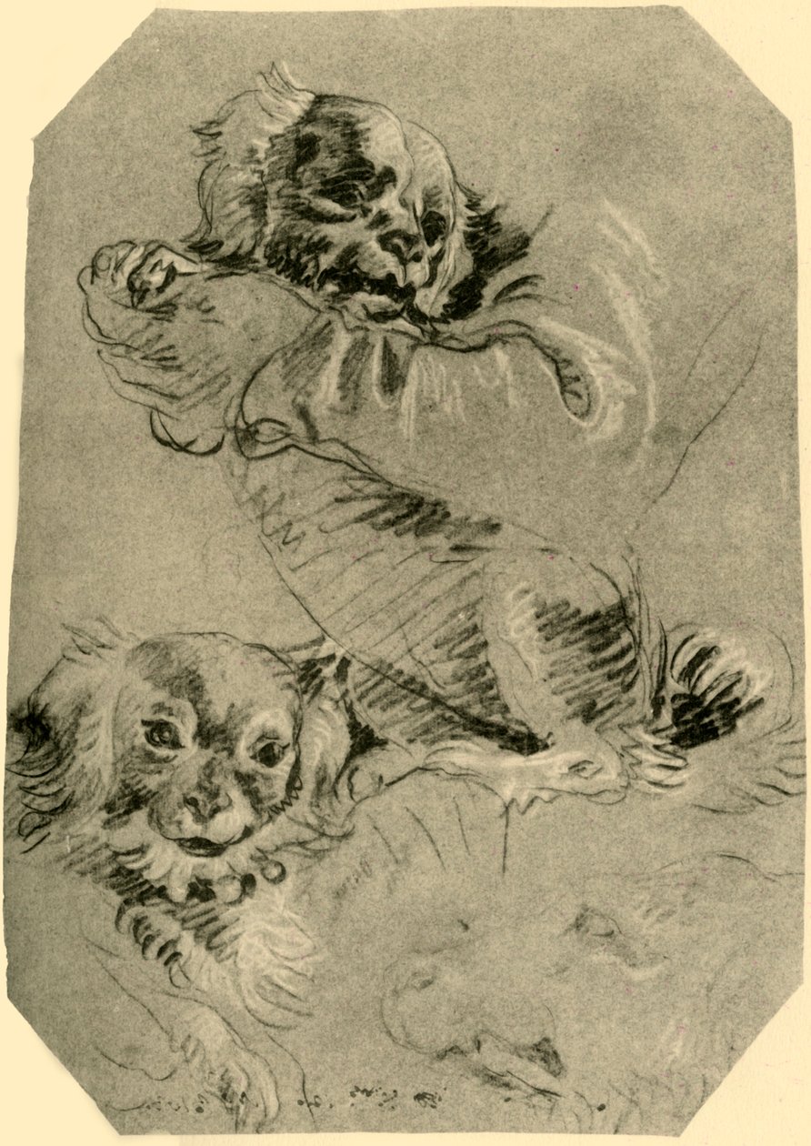Bologna Dogs, 1751-1752, 1928 av Giovanni Battista Tiepolo
