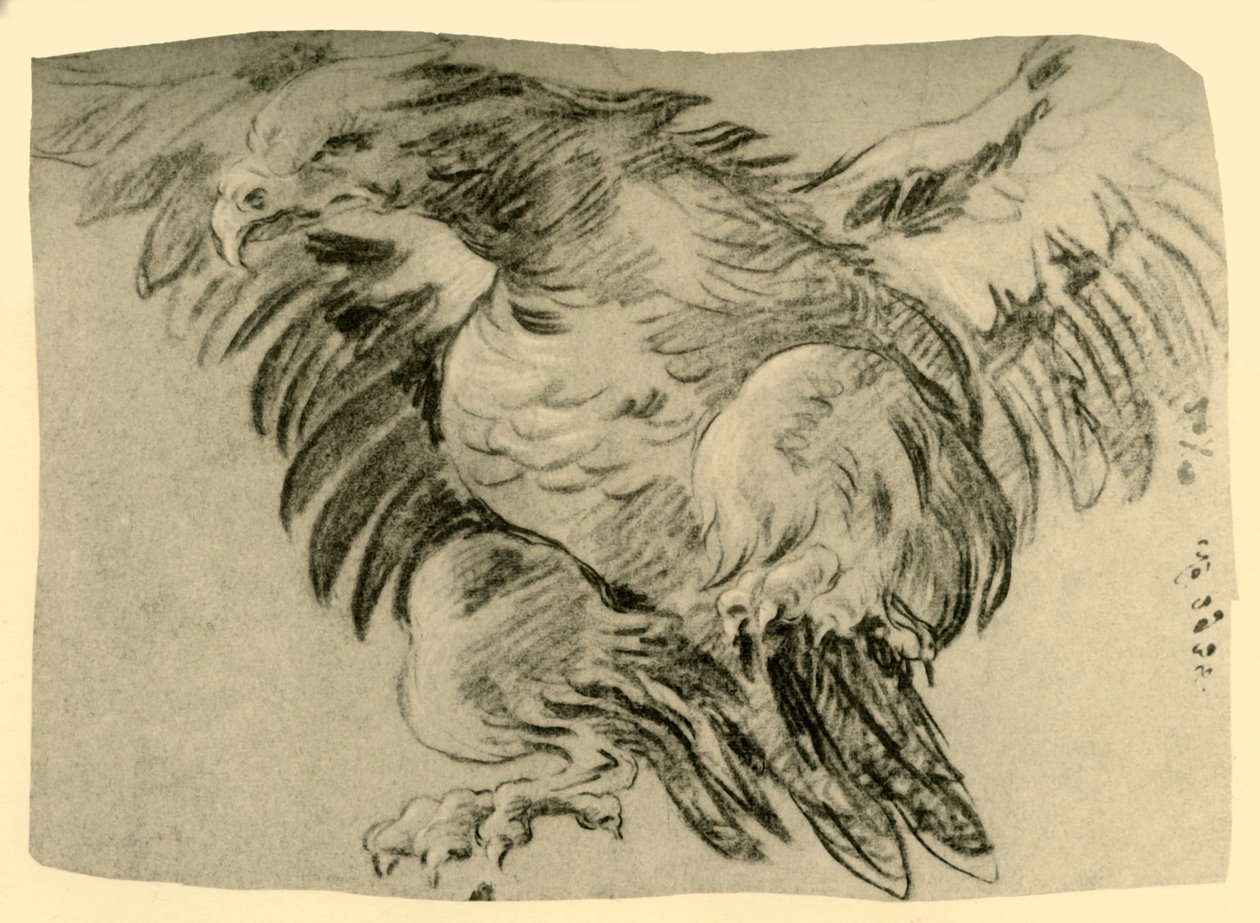 Eagle, 1751-1752, 1928 av Giovanni Battista Tiepolo