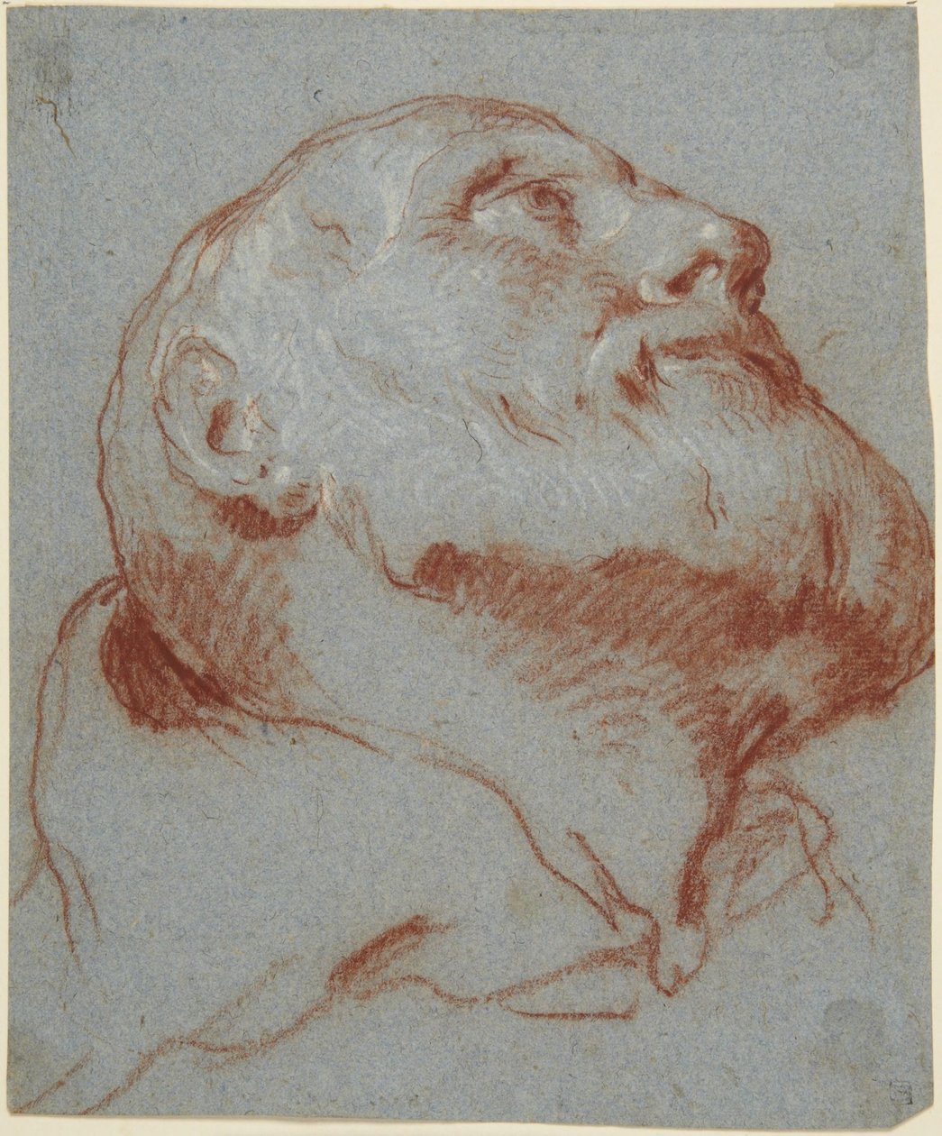 Hode av en skjegget mann, sett nedenfra og med blikket opp av Giovanni Battista Tiepolo