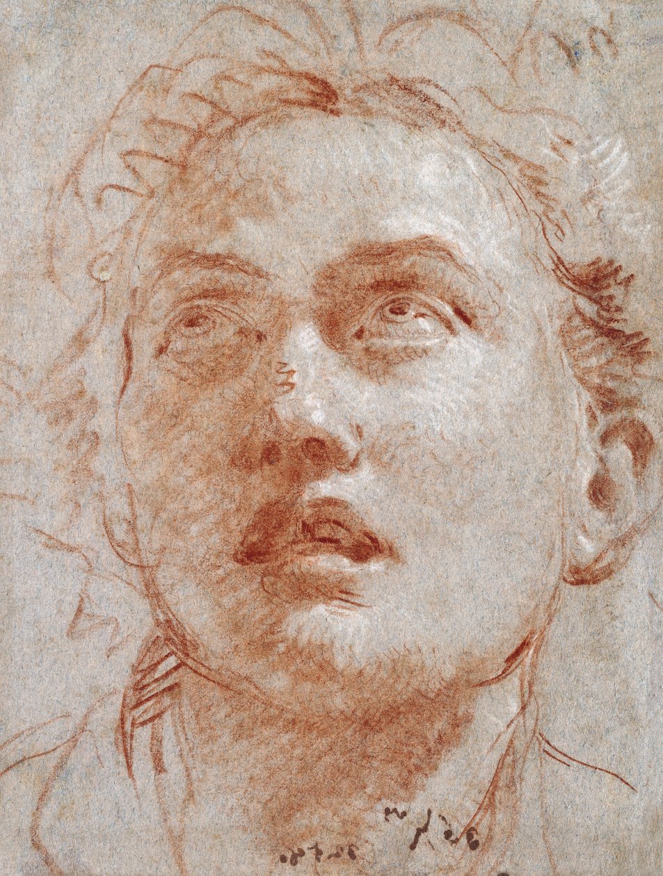Hodet til en mann som ser opp, av Giovanni Battista Tiepolo