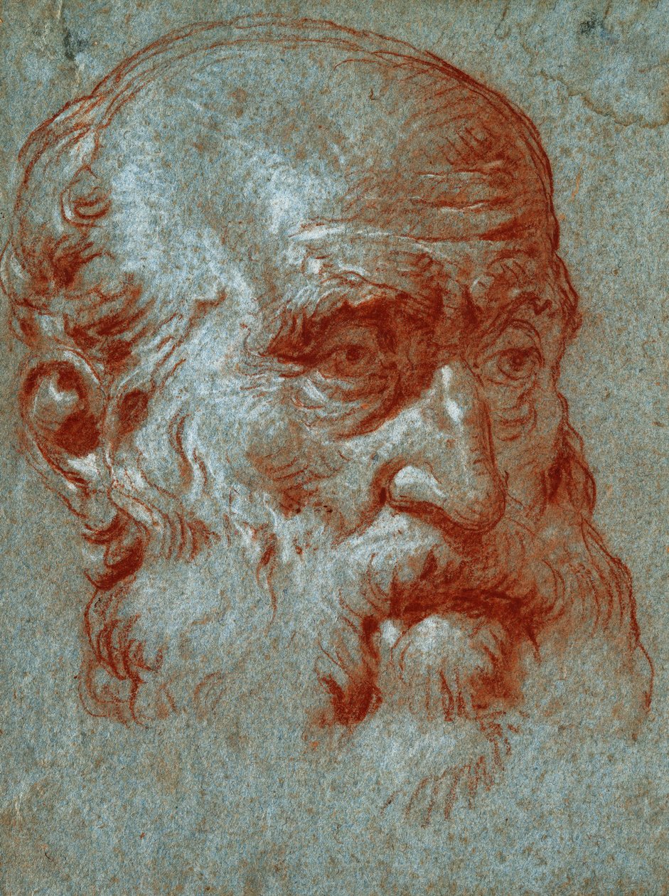 Leder for en venetiansk patricier, Three-Quarter Face, av Giovanni Battista Tiepolo