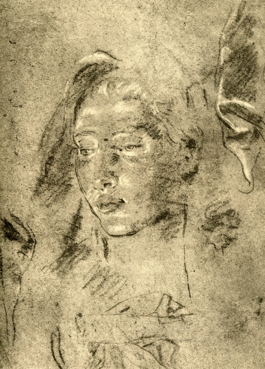 Head of a Young Woman, midten av 1700-tallet, 1928 av Giovanni Battista Tiepolo