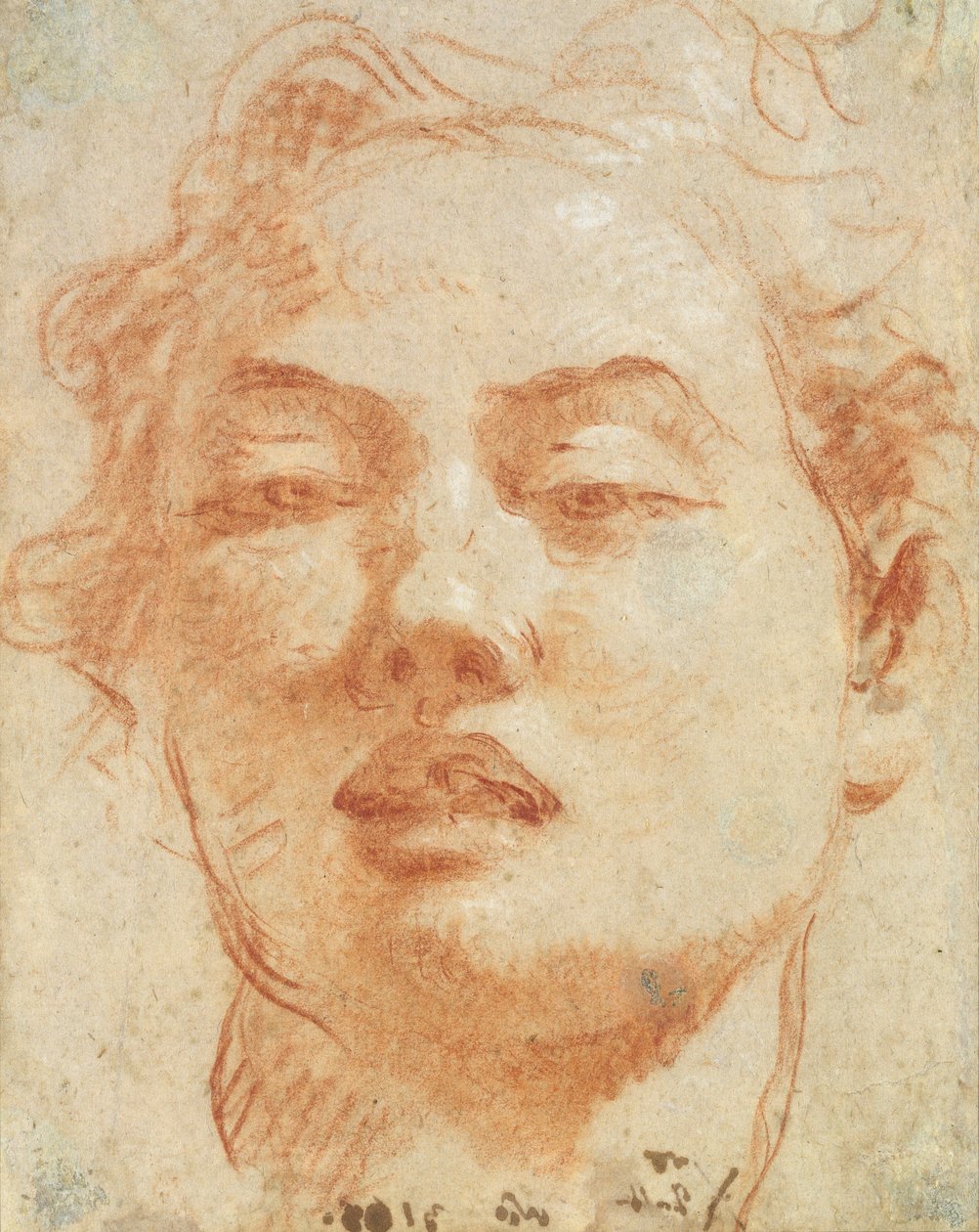 Hodet til en ung mann (rødt og hvitt kritt på papir) av Giovanni Battista Tiepolo
