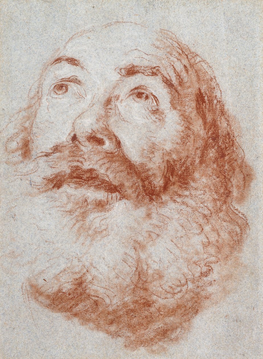 Hodet til en gammel mann som ser opp, av Giovanni Battista Tiepolo