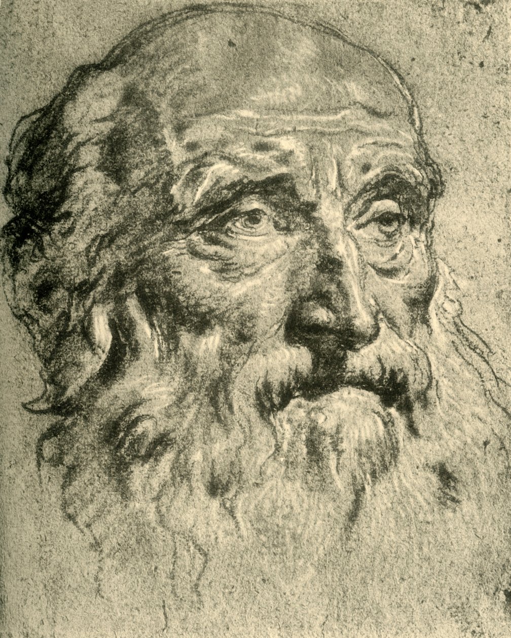 Head of an Old Man, midten av 1700-tallet, 1928 av Giovanni Battista Tiepolo
