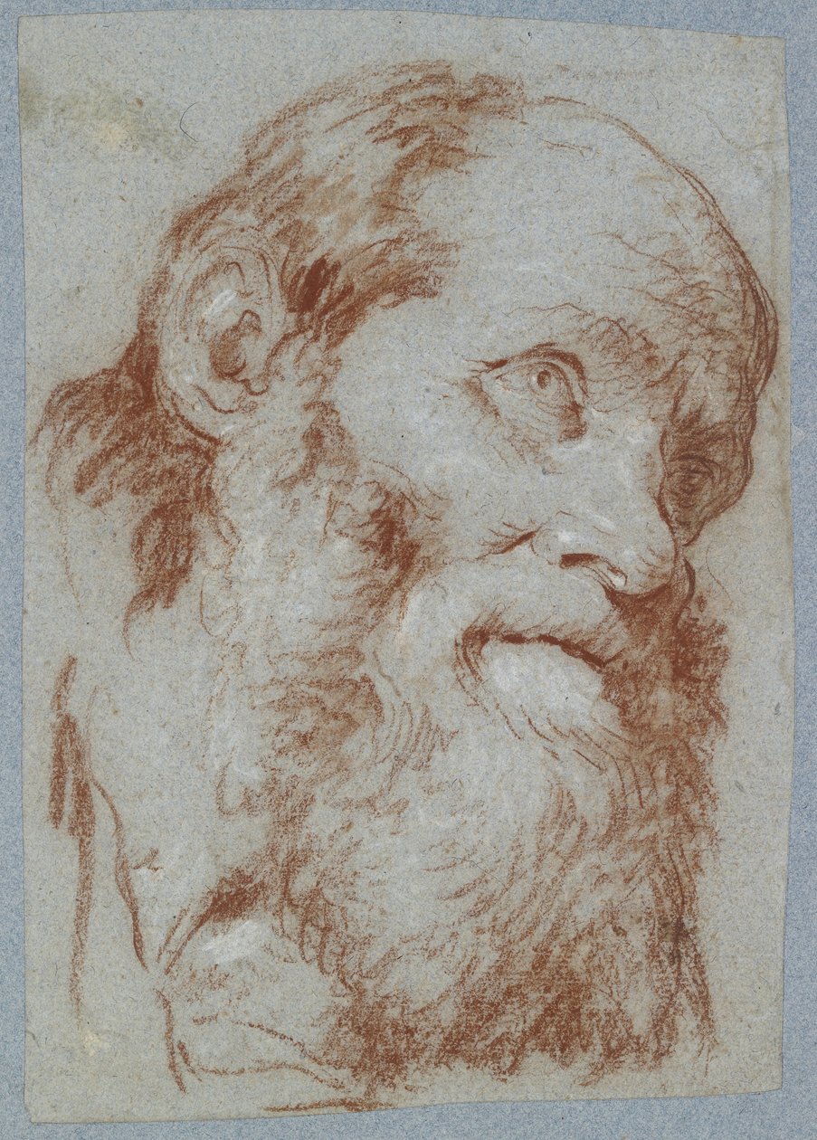 Hodet til en gammel skjeggete mann (rødt kritt, berørt med hvitt, på falmet gråblått papir) av Giovanni Battista Tiepolo