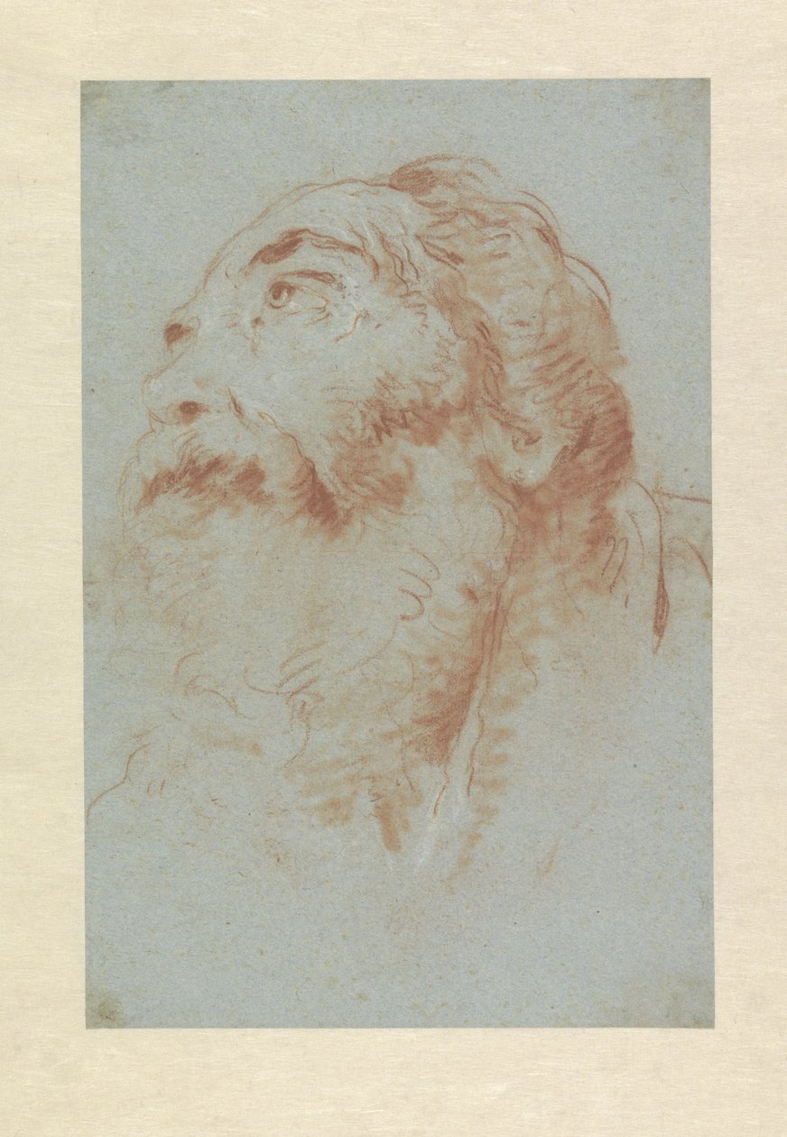 Hodet til en gammel mann av Giovanni Battista Tiepolo