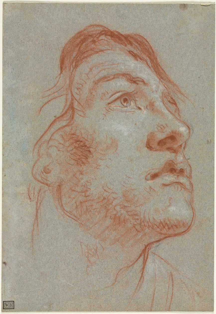 Hodet til en ung mann som ser oppover til høyre, før 1752. av Giovanni Battista Tiepolo
