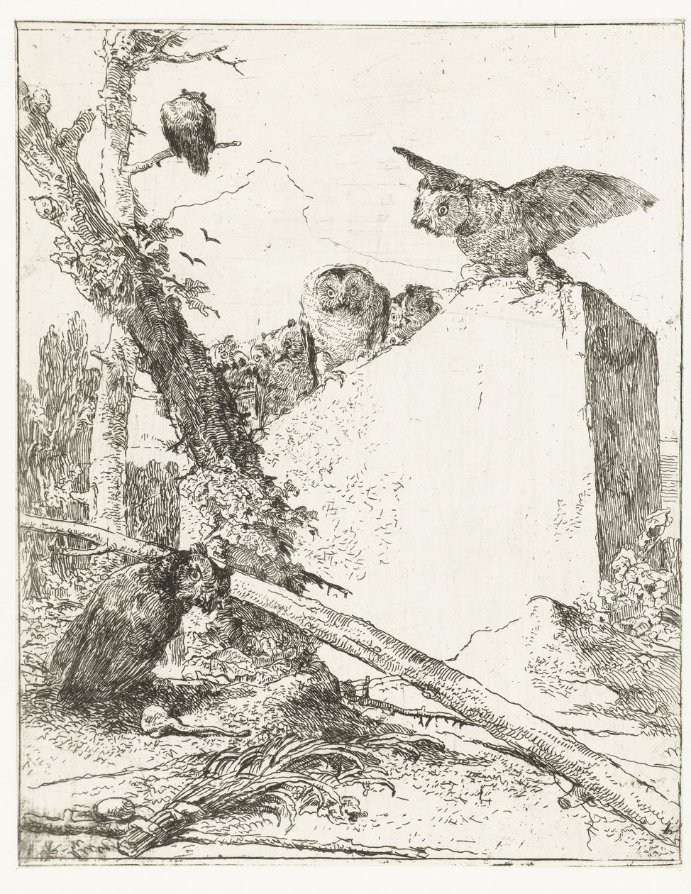 Titteltrykk for Scherzi di fantasia med ugler nær en stein Scherzi di fantasia (serietittel) av Giovanni Battista Tiepolo