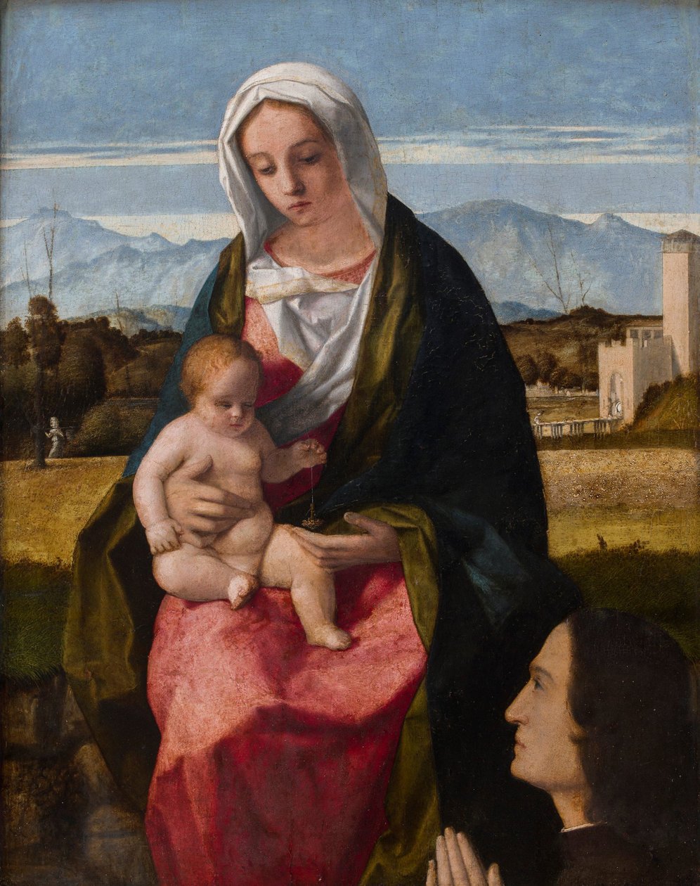  av Giovanni Bellini