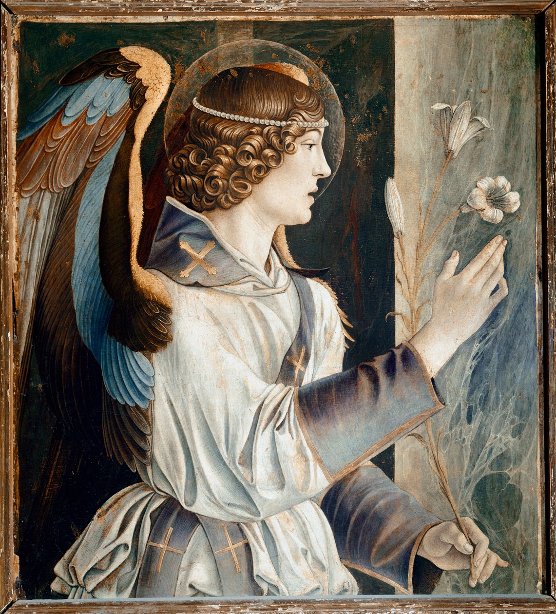 Polyptych of St Vincent Ferrier: Angel of the Annunciation (Polyptych of St Vincent Ferrer: Angel of the Annunciation) Maleri av Giovanni Bellini dit il Giambellino (ca. 1432-1516) 1464-1468 Dim 72x67 cm Venezia-kirken Santi Giovanni e Paolo av Giovanni Bellini
