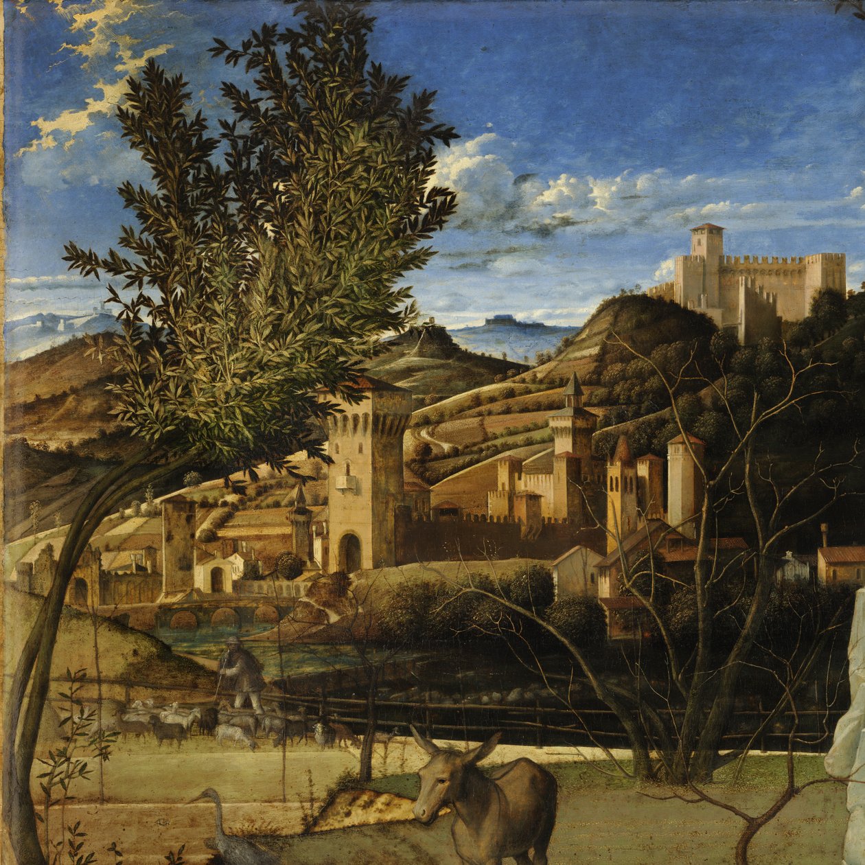  av Giovanni Bellini