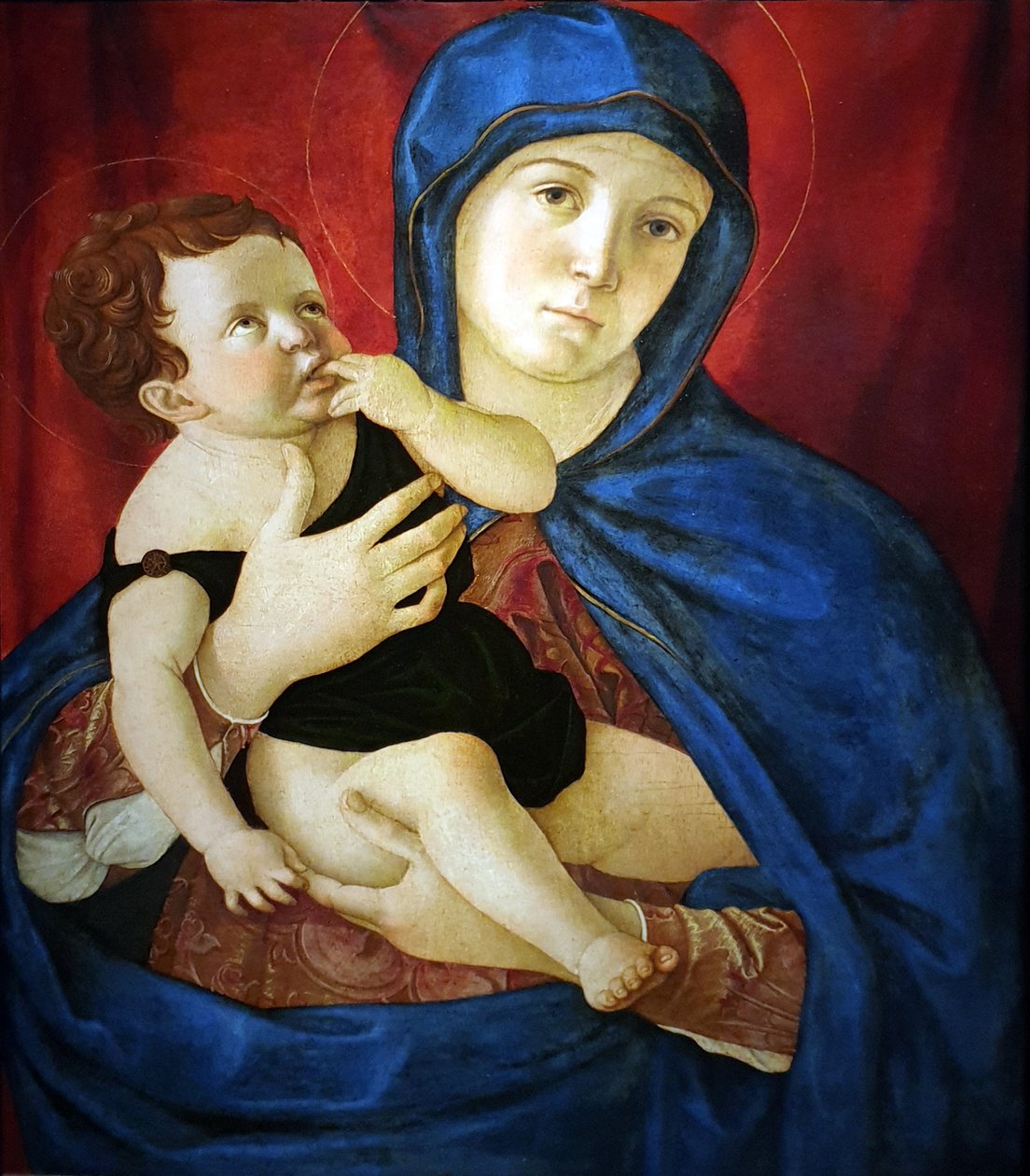  av Giovanni Bellini
