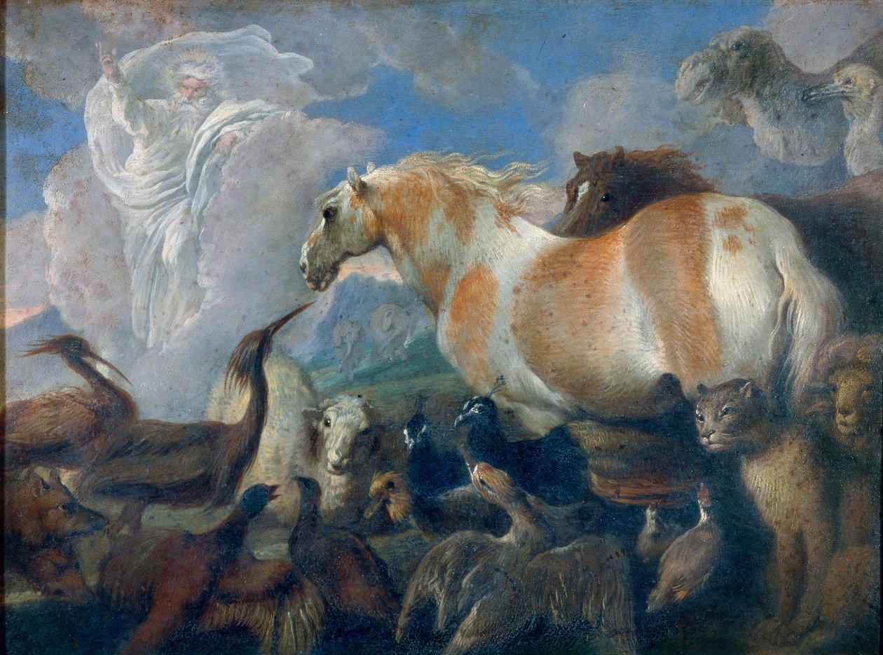 Skapelsen (1. Mosebok). Maleri av Giovanni Benedetto Castiglione (1610-1665), olje på lerret, midten av 1600-tallet. Italiensk kunst (Genova) av Giovanni Benedetto Castiglione