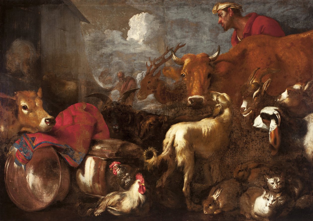The Animals Board Noah