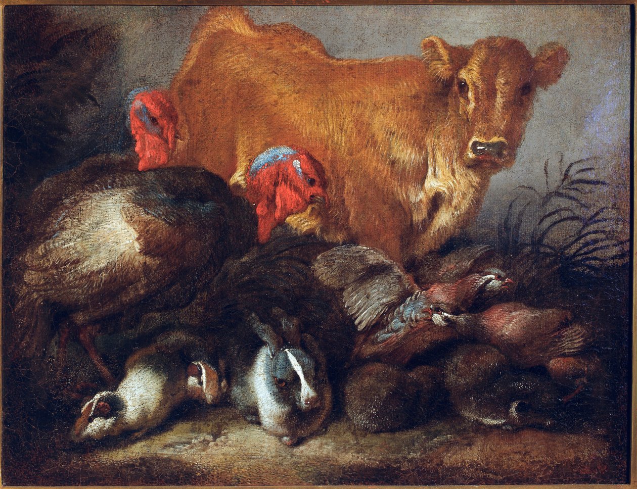 Studie av dyr Ku, kalkun, kanin, Maleri av Giovanni Benedetto Castiglione dit il Grechetto (1610-1665) Dim.30x38,5 cm Gener, Musei di Strada Nuova av Giovanni Benedetto Castiglione