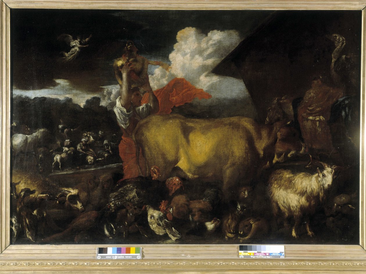 Dyrenes inngang i arken (olje på lerret) av Giovanni Benedetto Castiglione