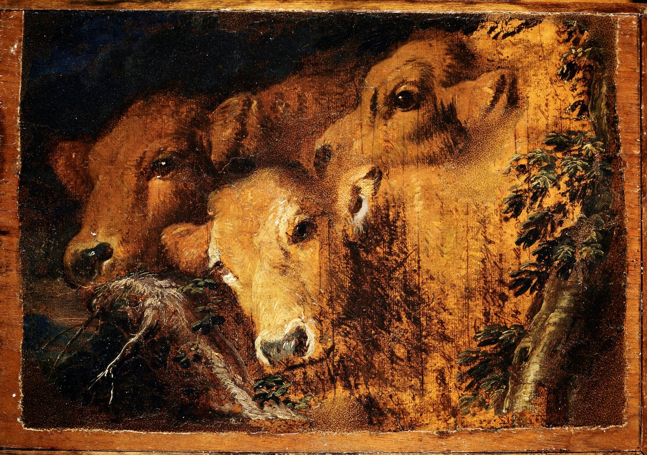 Tre hoder av Etude kalvekjøtt. Maleri av Giovanni Benedetto Castiglione dit il Grechetto (1610-1665) Søn. 24x35 cm Genes, Musei di Strada Nuova av Giovanni Benedetto Castiglione
